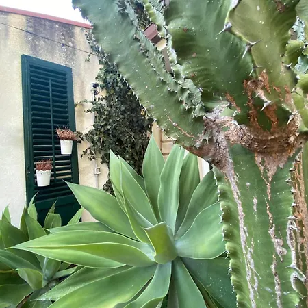 Amunì Carini